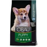 CIBAU dog puppy medium